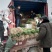 【推荐】红根蒜苗大量上市产地代发全国