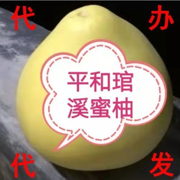 【电商】福建平和琯溪红心蜜柚，产地加工、代办、代发上市