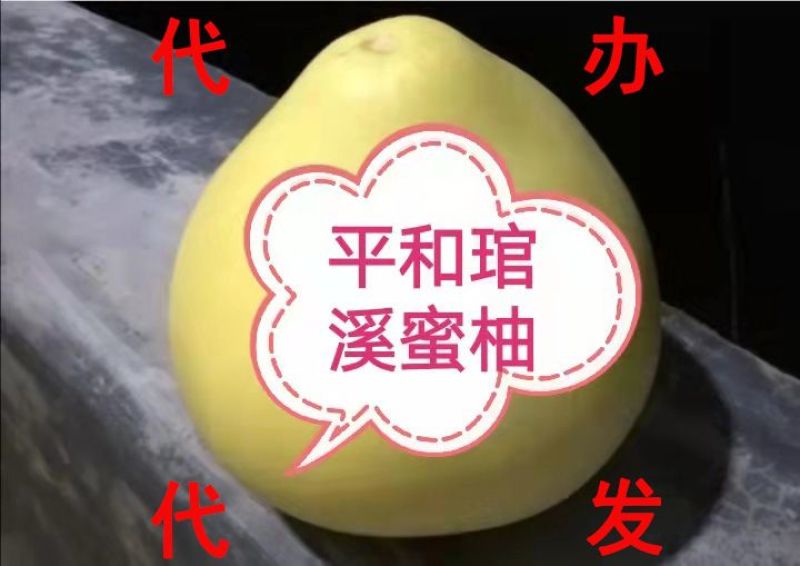 【电商】福建平和琯溪红心蜜柚，产地加工、代办、代发上市