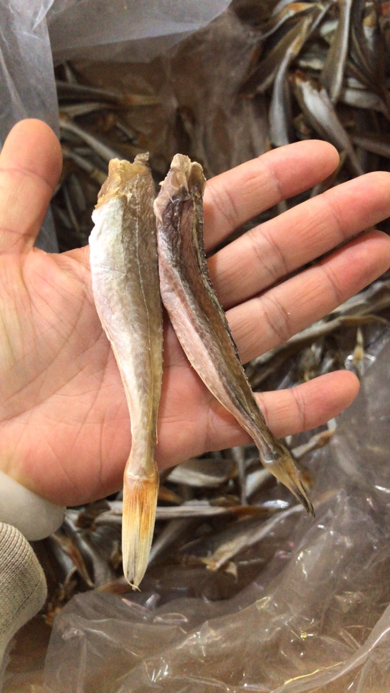 黄鱼干咸鱼腊鱼一件20斤5斤起批