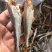 黄鱼干咸鱼腊鱼一件20斤5斤起批