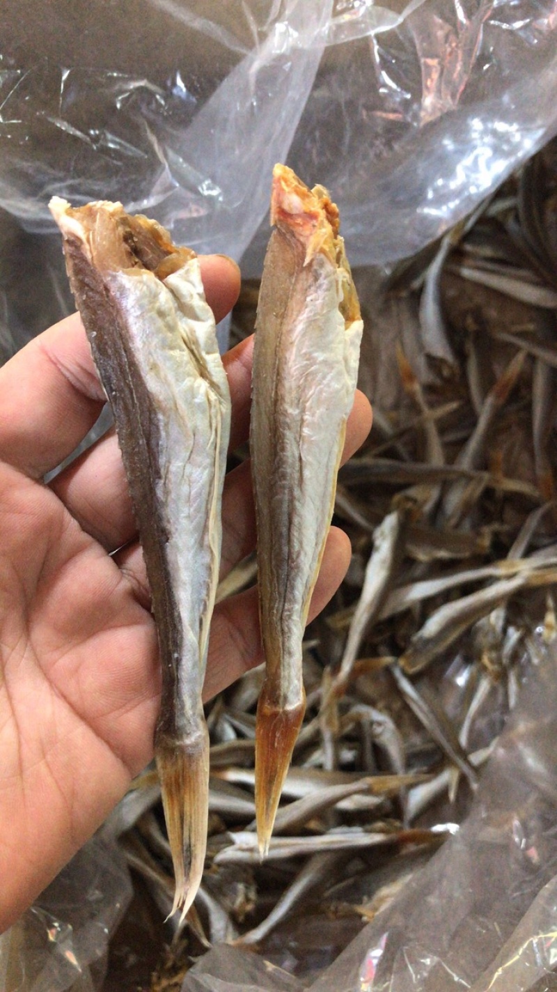 黄鱼干咸鱼腊鱼一件20斤5斤起批