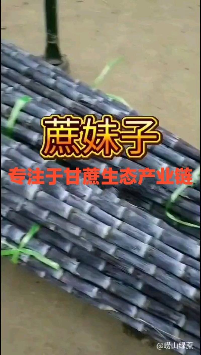 糖蜜北方甘蔗手工糖蜜手工红糖后的天然红糖糖蜜