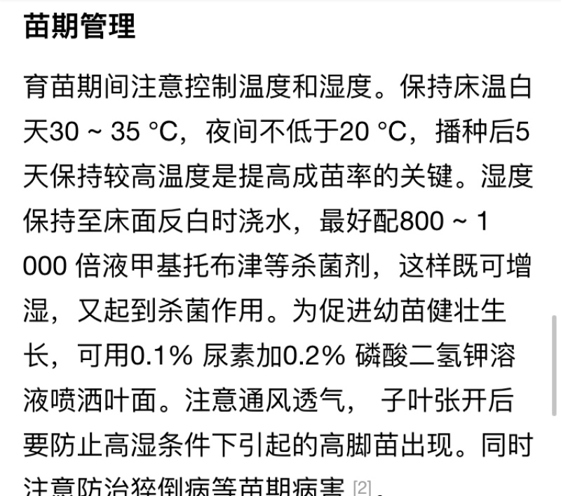超甜西瓜种先正达无子籽西瓜种子墨童二号基地采摘