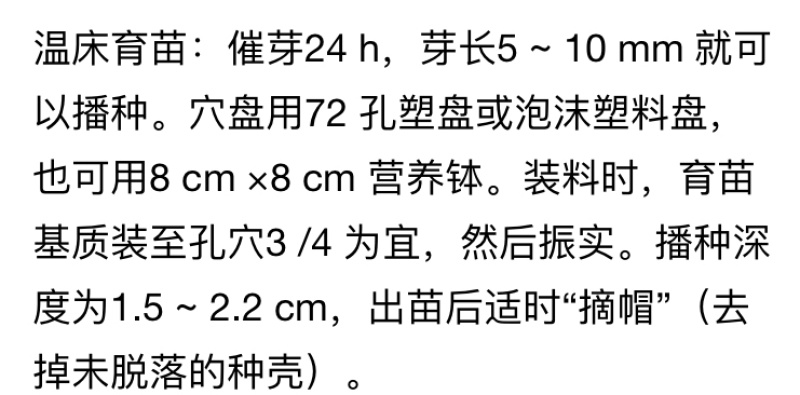 超甜西瓜种先正达无子籽西瓜种子墨童二号基地采摘
