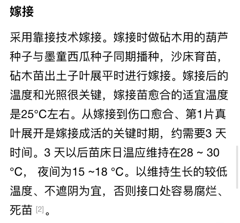 超甜西瓜种先正达无子籽西瓜种子墨童二号基地采摘