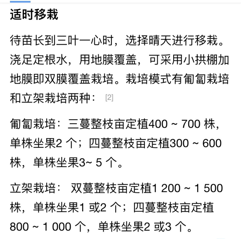 超甜西瓜种先正达无子籽西瓜种子墨童二号基地采摘
