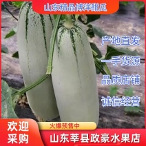 【全国发货】羊角蜜甜博洋61脆甜可口，口感好质量客户至上