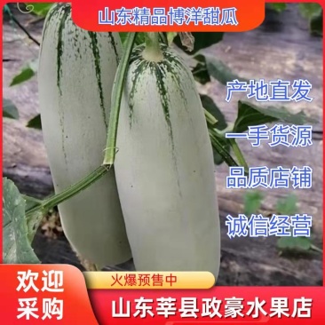 【全国发货】羊角蜜甜博洋61脆甜可口,口感好质量客户至上