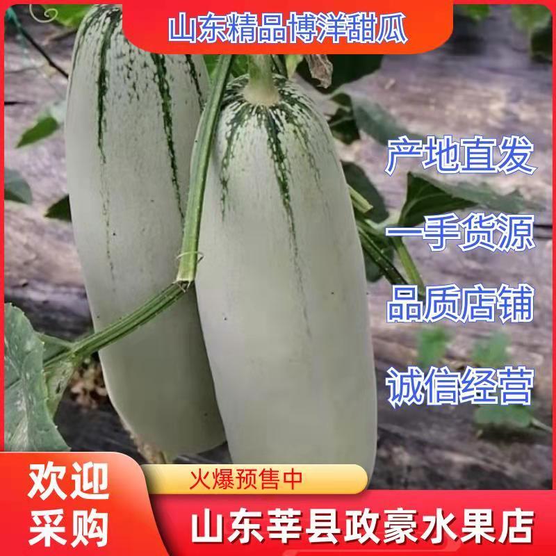 【全国发货】羊角蜜甜博洋61脆甜可口，口感好质量客户至上