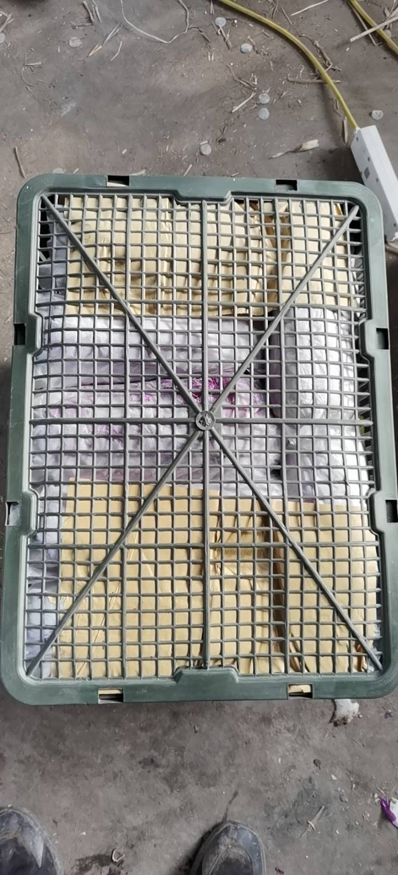 北京三号白菜净菜4~6斤，出口，商超，各大市场优选的