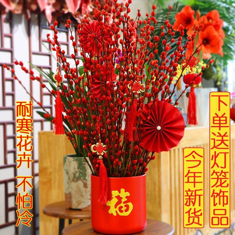 招财银柳干花真花鲜枝水培植物红色银柳年宵花卉福桶客厅室内