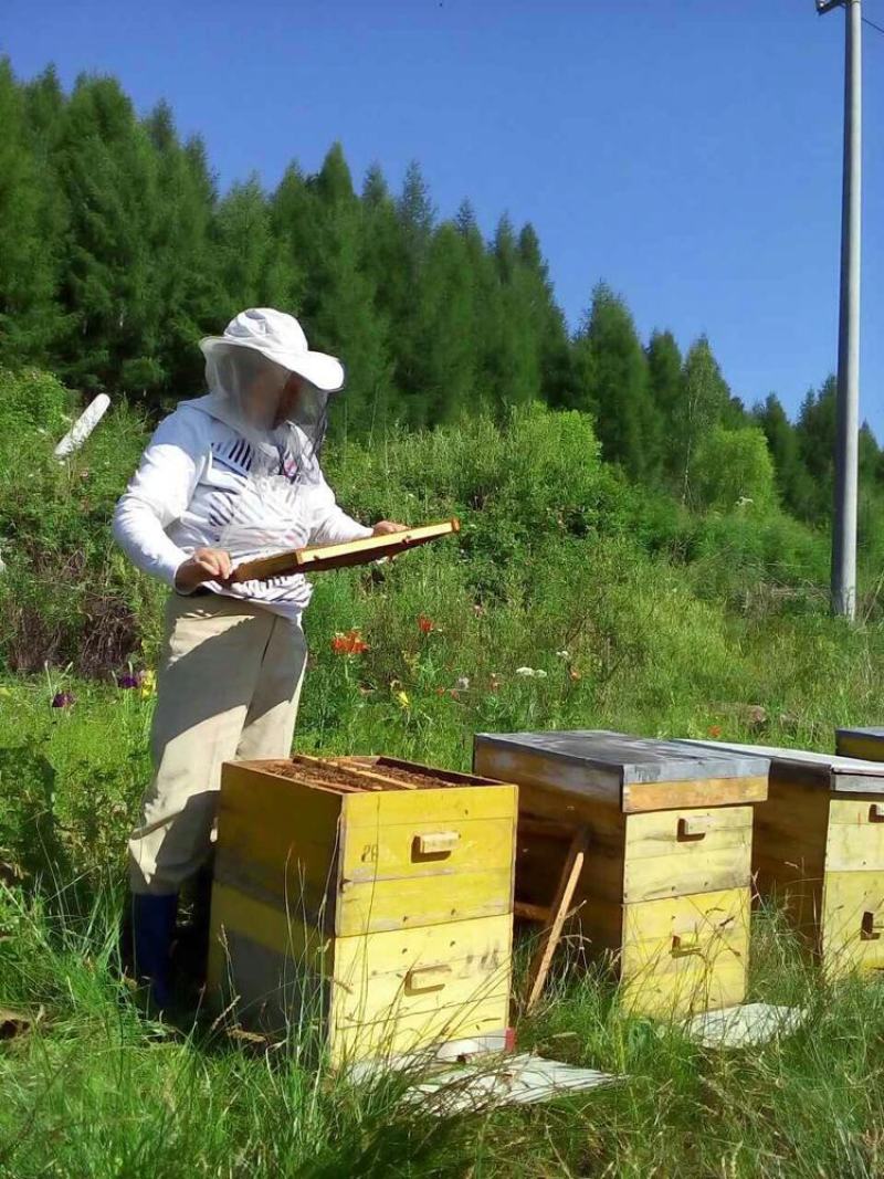 长白山农家自产野生蜂蜜椴树蜜嘎嘎纯蜂蜜可发样