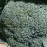 西兰花翠绿油亮质量优