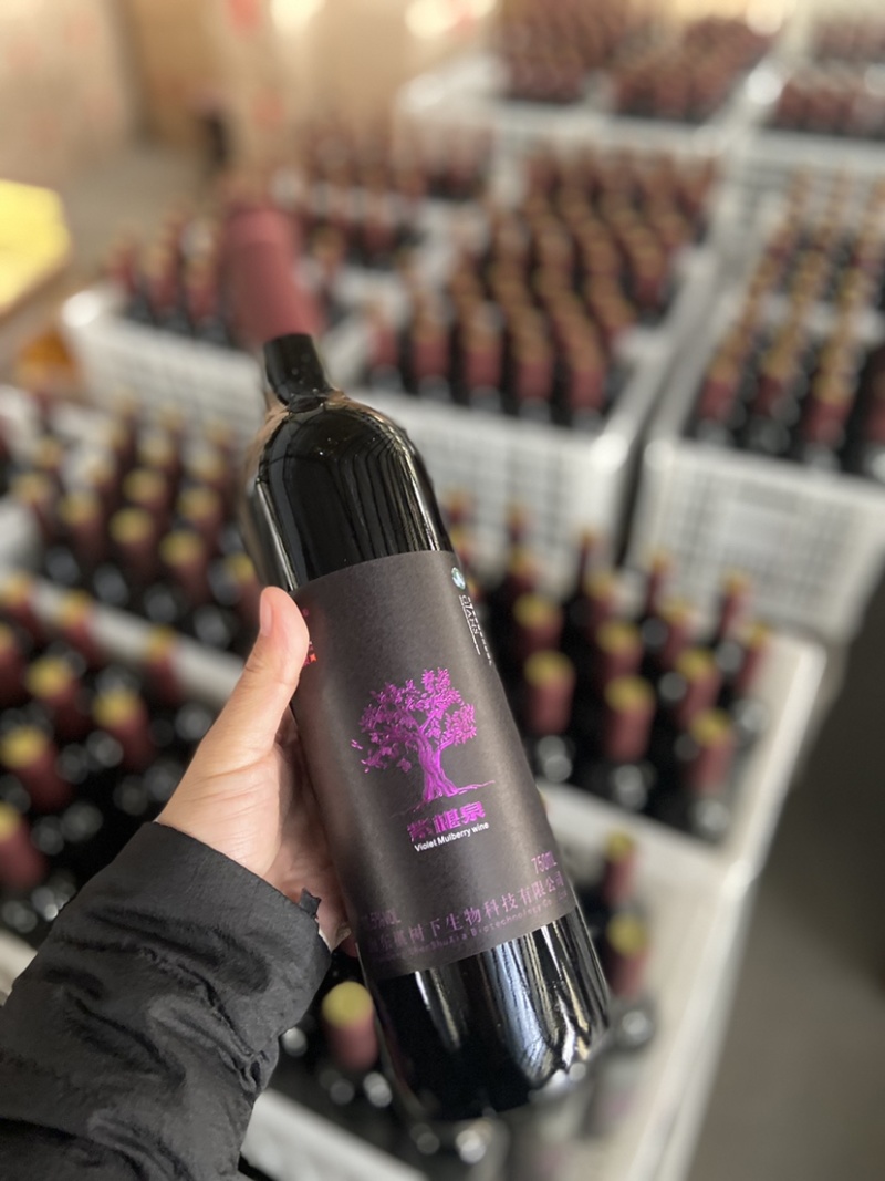 礼盒装桑椹果酒11.5度春节必备低温发酵