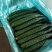 【产地直发】兰陵县密刺黄瓜精品黄瓜油亮，顶花带刺