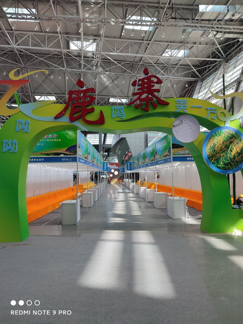 鹿帅仁牌黄精植物草本营养冲泡茶
