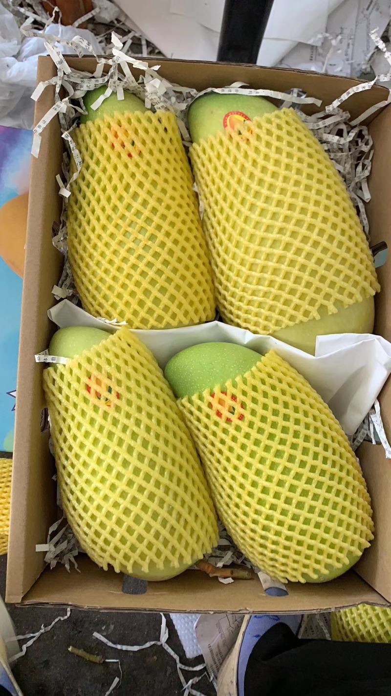 海南热带水果皮薄肉甜金煌芒果产地价格现摘现发