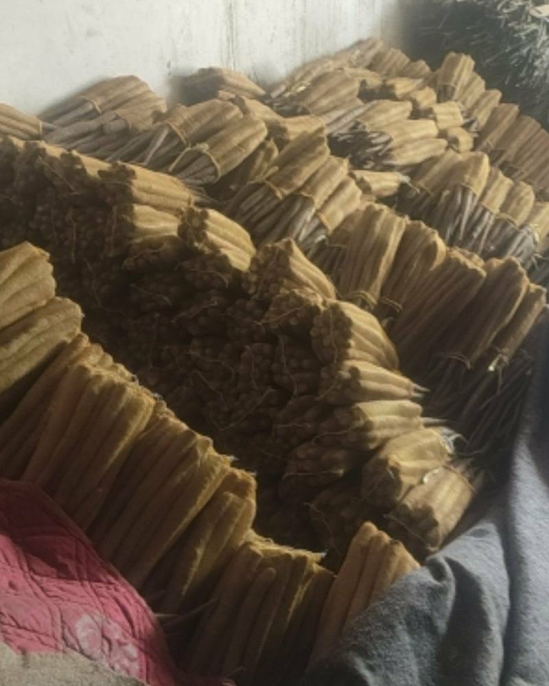 精品网贷山药，白玉好长条山药。现货一车