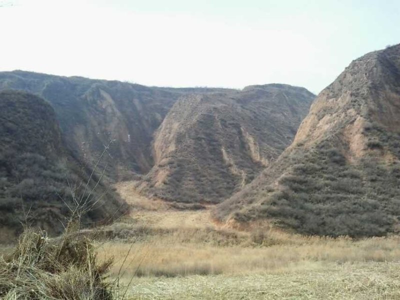 山地出租、出售，养殖大户来