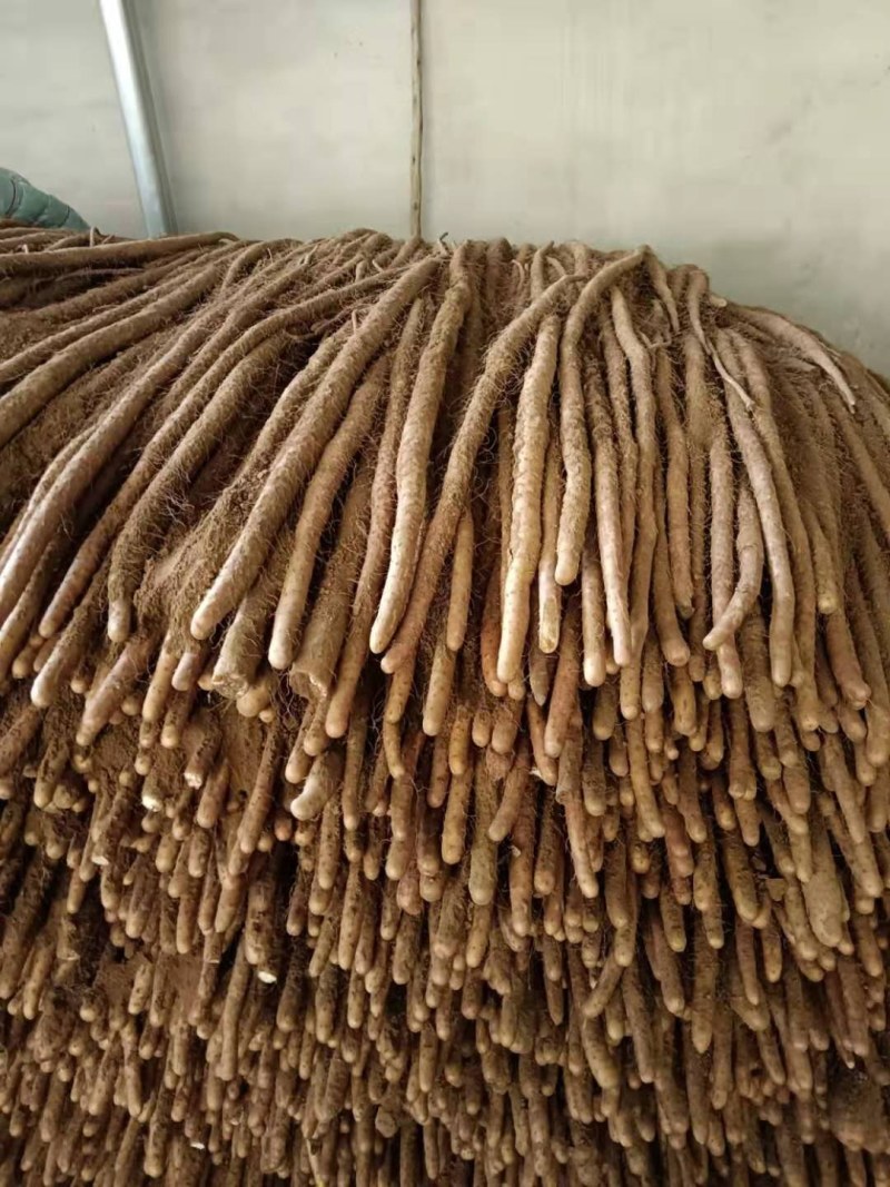 河北铁杆山药细腻干喕