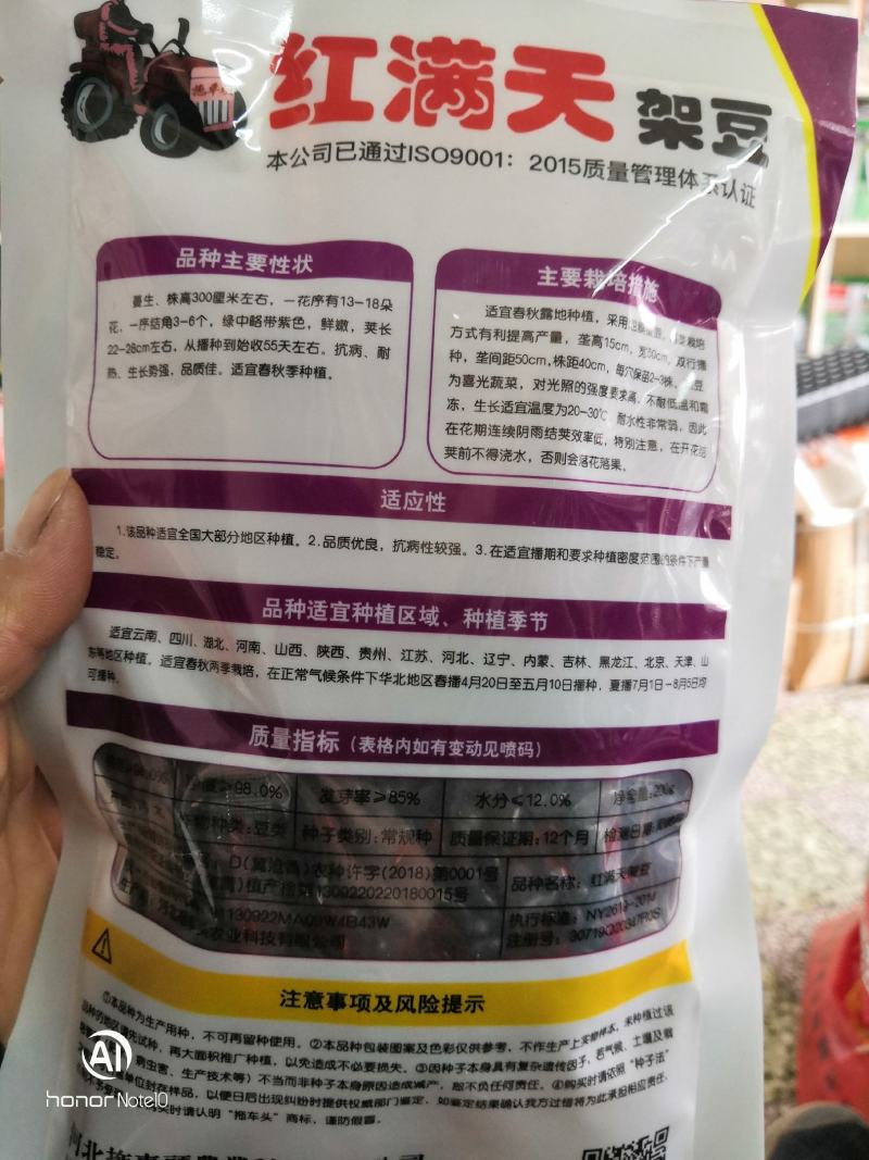 红满天架豆结荚率高肉厚无筋商品性好