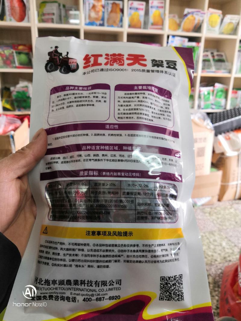 红满天架豆结荚率高肉厚无筋商品性好