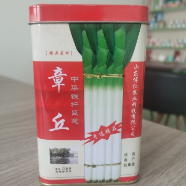厂家直销，山东章丘铁杆大葱种子，手选精品，高产，专业育种