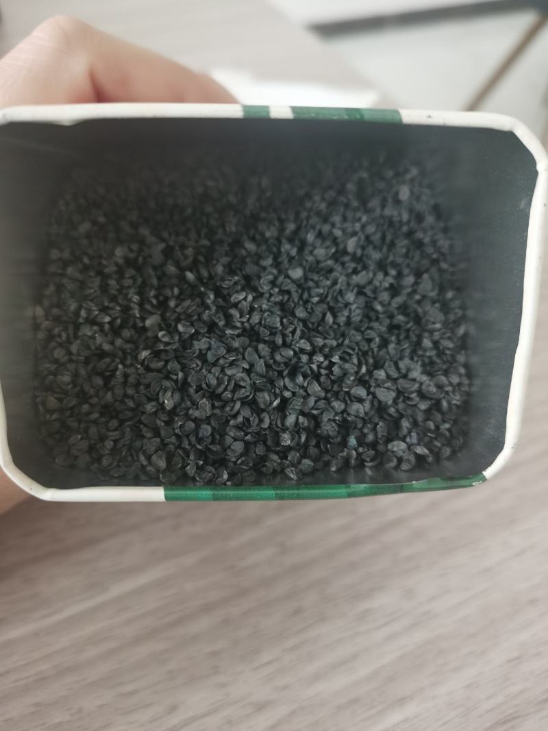 厂家直销，山东章丘铁杆大葱种子，手选精品，高产，专业育种