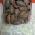 诸暨香榧价廉物美量大从优