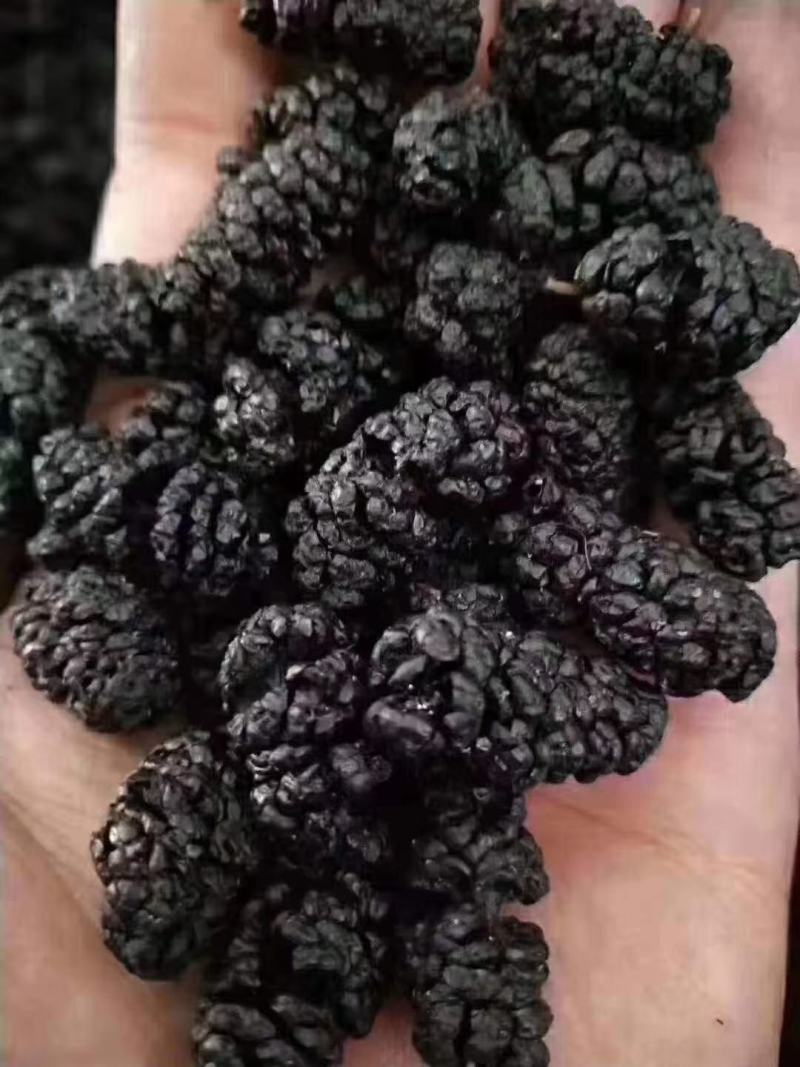 水洗桑葚干包邮无硫杀菌水洗药食两用泡水干吃
