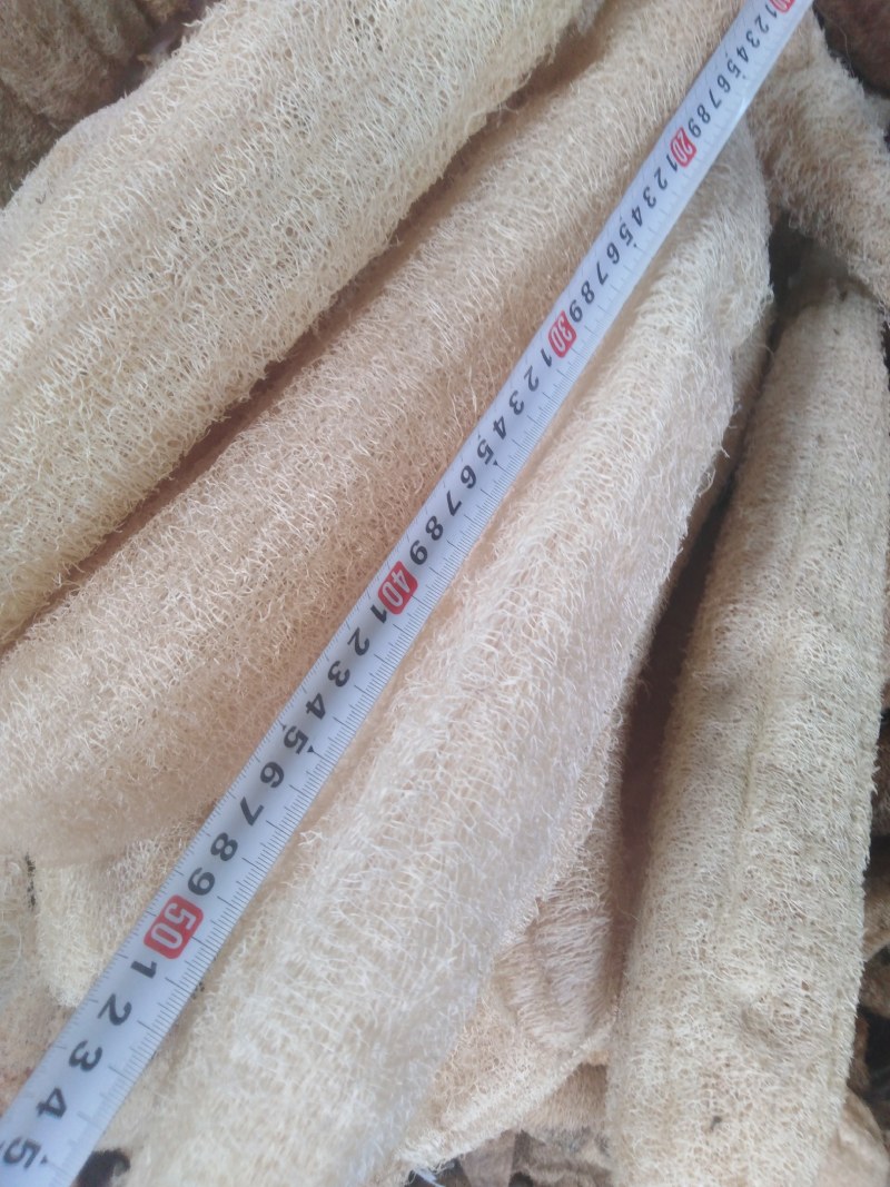 天然白软丝瓜络。种植基地千亩新货20吨，量大带开免税发票