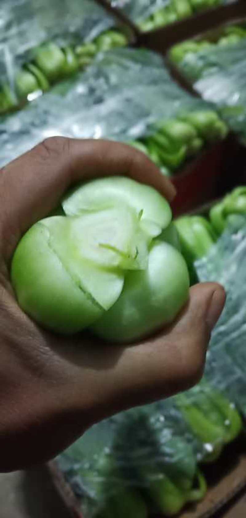 北京精品小中大颗油菜