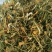 金银花，无硫金银花，阳光晒干，无任何添加，包含量，包过检