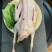 工厂直销***鹅肉量大优惠