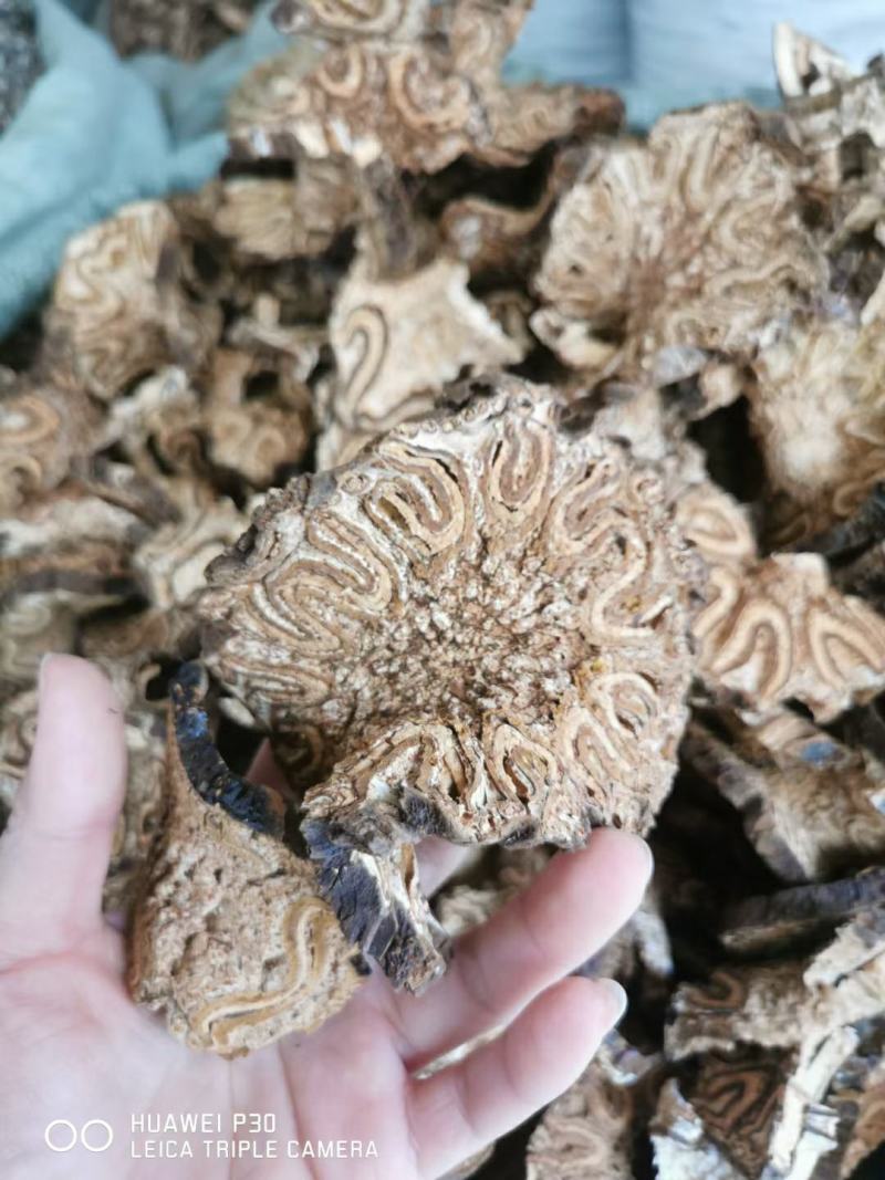 龙骨风飞天禽捞无硫足干新货无硫新货