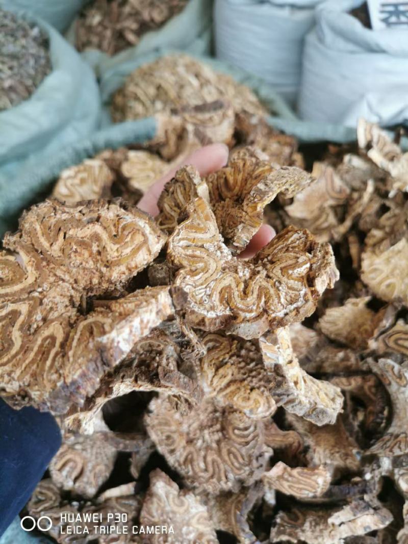 龙骨风飞天禽捞无硫足干新货无硫新货