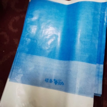 葡萄专用袋葡萄袋水果袋阳光玫瑰袋厂家直销
