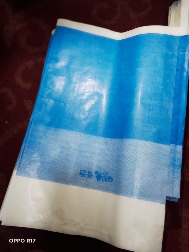 葡萄专用袋葡萄袋水果袋阳光玫瑰袋厂家直销