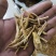 黄花菜段，无硫，餐饮，煲汤可用，胡辣汤，没有抹，下单立减