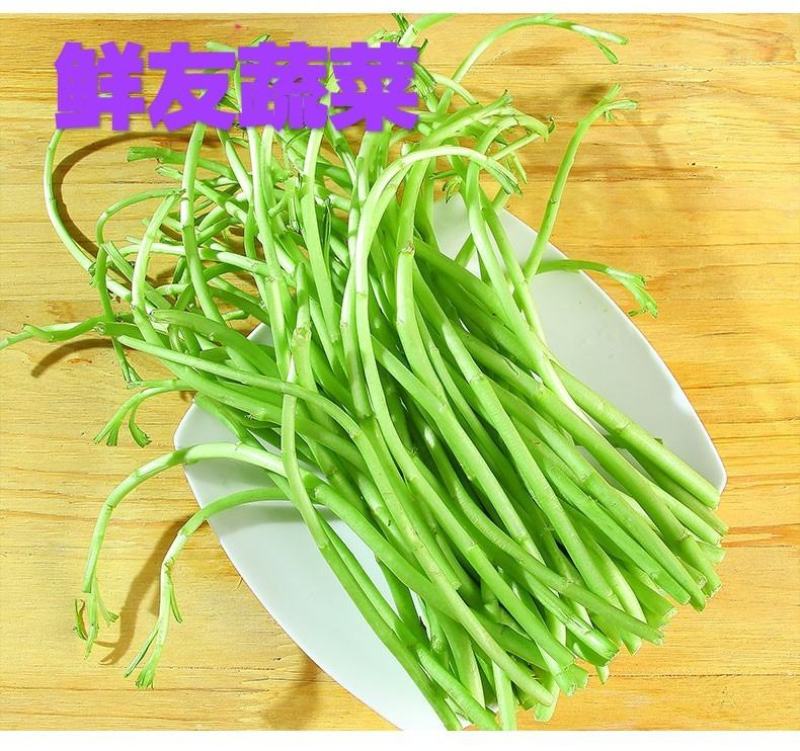 新鲜芦蒿价格优美质量保证