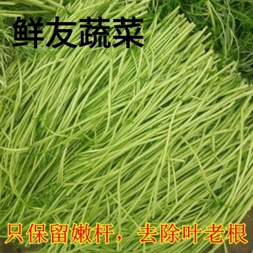 新鲜芦蒿价格优美质量保证