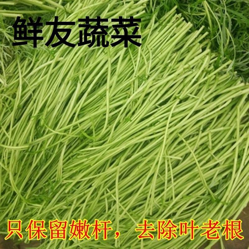 新鲜芦蒿价格优美质量保证