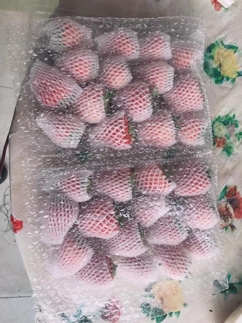 东港马岗九九草莓一件代发批发零售支持线上交易