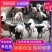 香猪巴马香猪苗优质巴马香猪怀孕母猪种公猪小香猪幼崽阉割