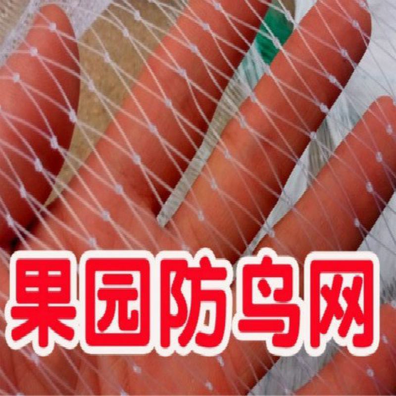 果园防鸟网果树樱桃葡萄防鸟用的网鱼塘天网大棚防护尼龙网