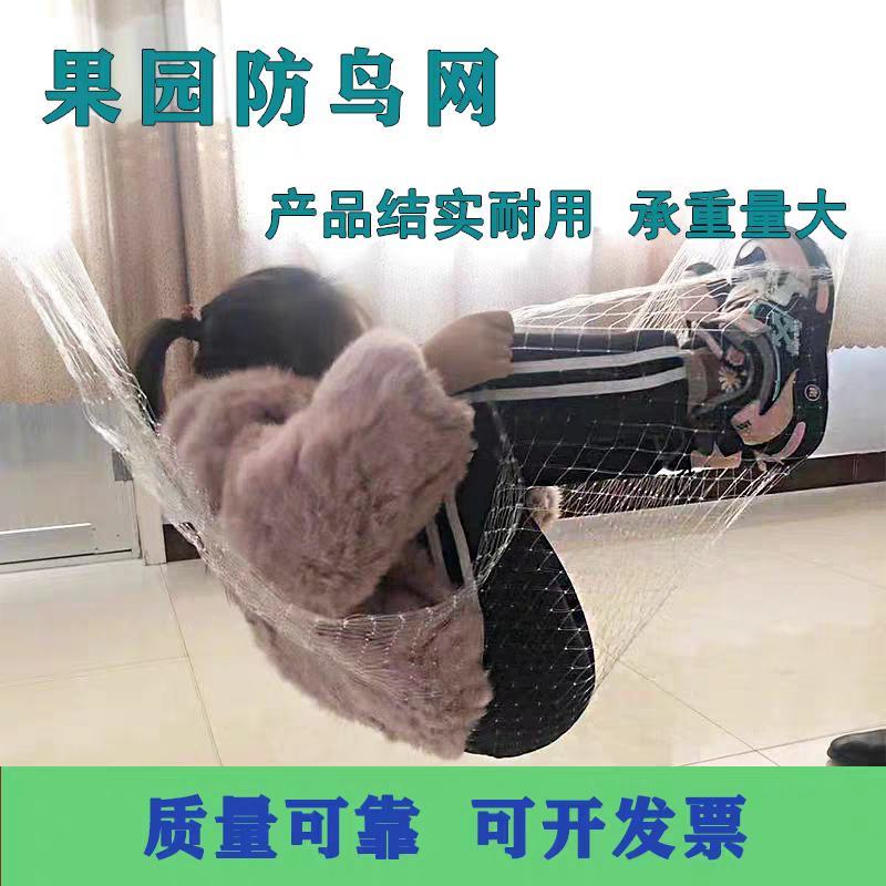 果园防鸟网果树樱桃葡萄防鸟用的网鱼塘天网大棚防护尼龙网