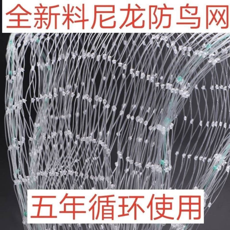 果园防鸟网果树樱桃葡萄防鸟用的网鱼塘天网大棚防护尼龙网