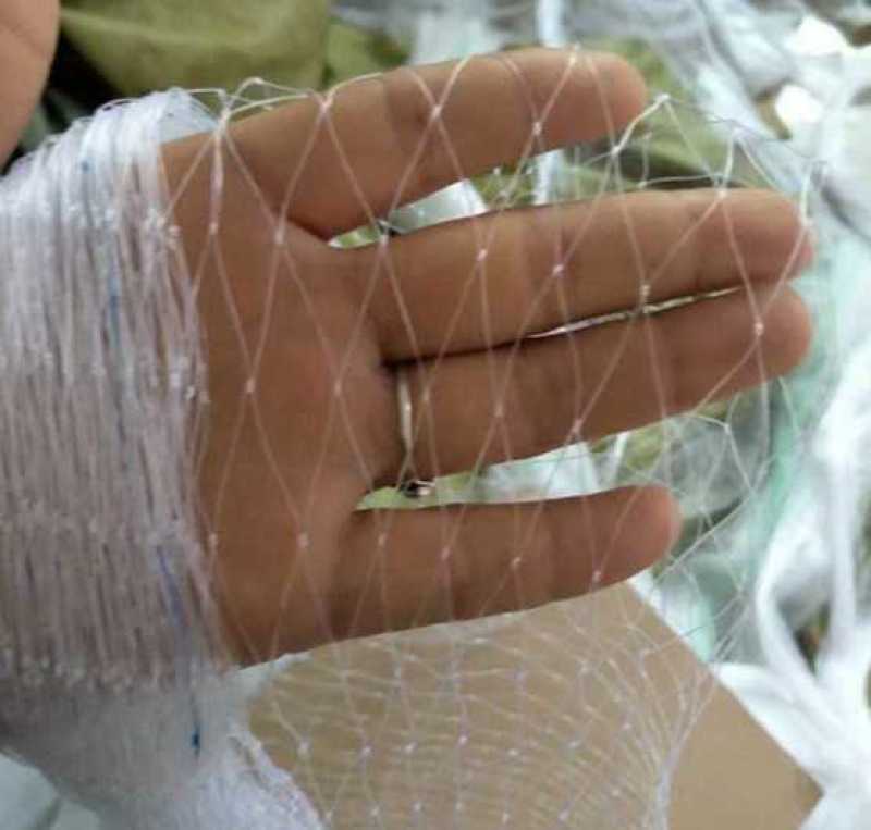 果园防鸟网果树樱桃葡萄防鸟用的网鱼塘天网大棚防护尼龙网