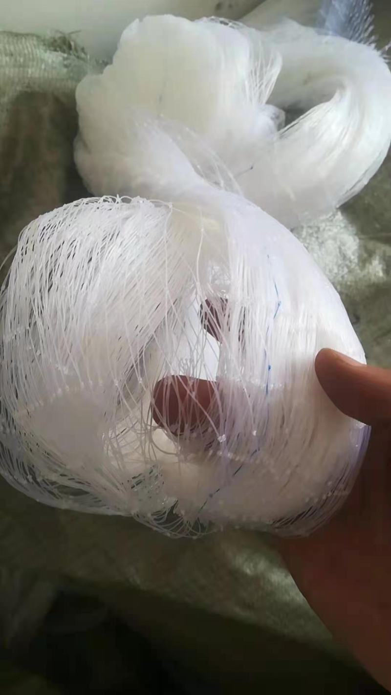 果园防鸟网果树樱桃葡萄防鸟用的网鱼塘天网大棚防护尼龙网